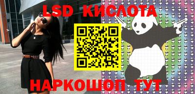 PSILOCYBIN Нальчик