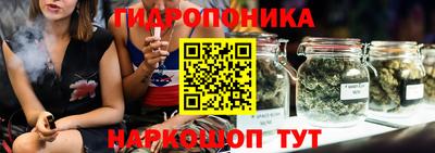 PSILOCYBIN Нальчик