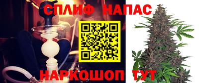 PSILOCYBIN Нальчик